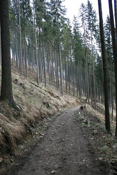 Wiosna w Beskidach 442.jpg